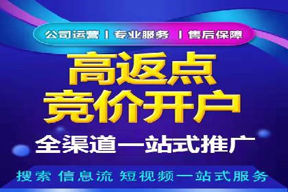 百度竞价排名服务的广告投放技巧与策略